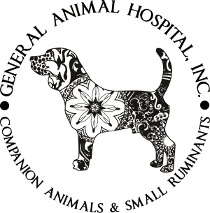 General Animal Hospital, Inc. – Companion Animal & Small Ruminant Medicine  & Equine Acupuncture