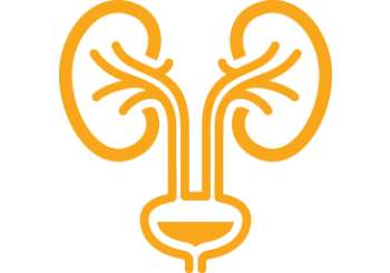 Kidney & Urinary Health